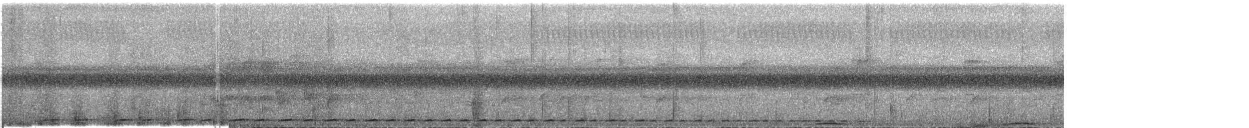 Phapitréron à oreillons blancs (nigrorum) - ML609057641