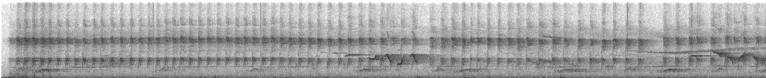 svarthodesibia - ML609057672