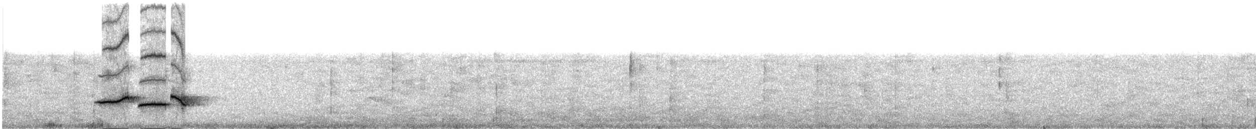 オグロコンヒタキ - ML609057693