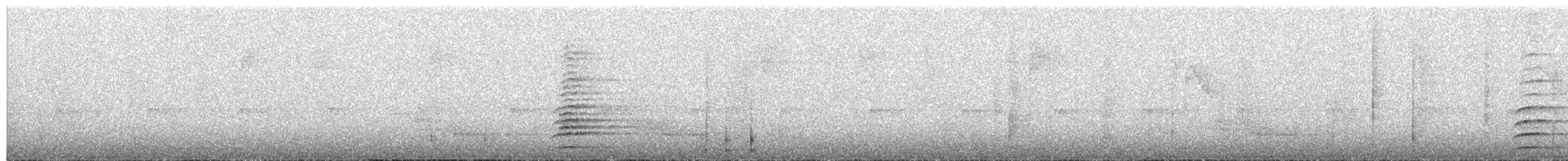 Дивоптах-шилодзьоб бурий - ML609057822