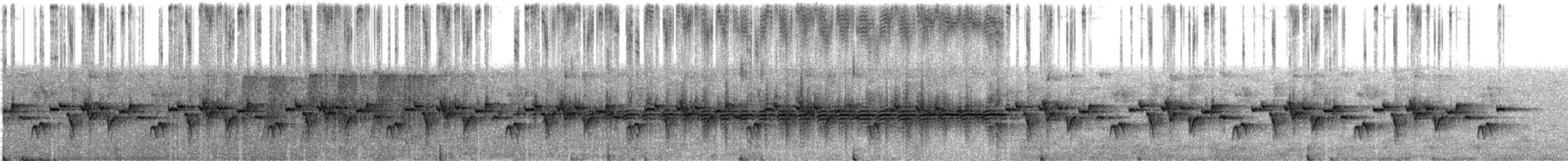 ノドグロセンニョムシクイ（palpebrosa グループ） - ML609057852