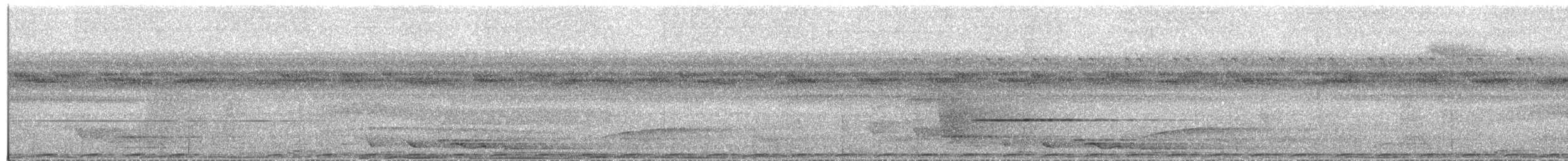 holub černobronzový - ML609057864