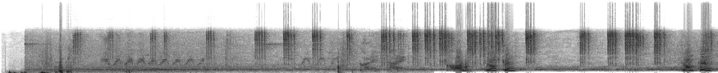 Kaiserstaffelschwanz - ML609057894