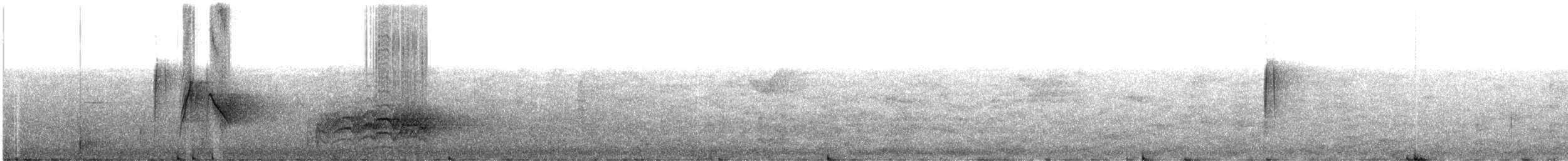 Slender-billed Oriole - ML609057926