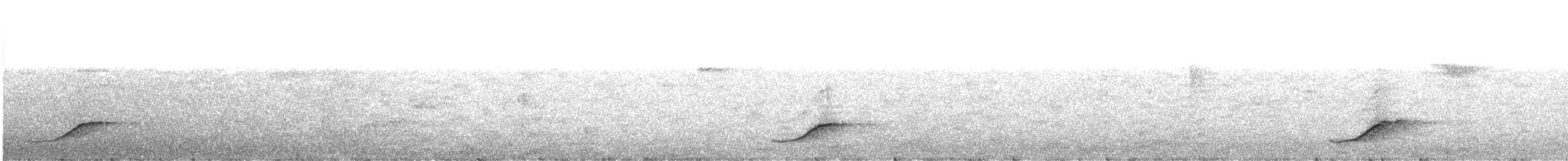 Long-tailed Paradigalla - ML609057936