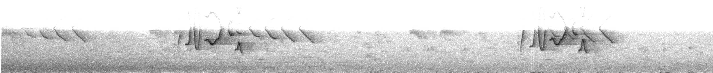 スンダムシクイ（floresianus） - ML609057954
