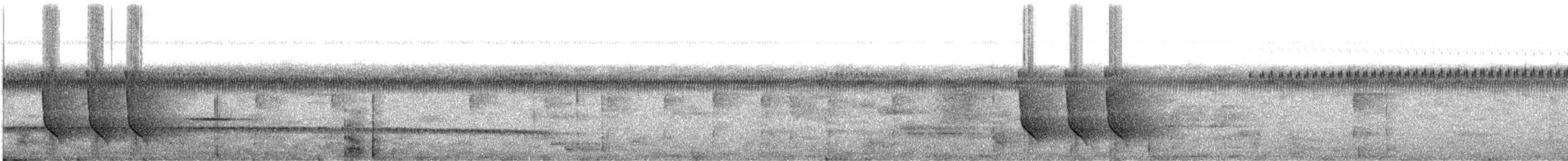 Rhipidure fuligineux - ML609058002