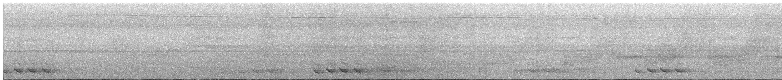 Turuncu Göğüslü Trogon [dulitensis grubu] - ML609058090