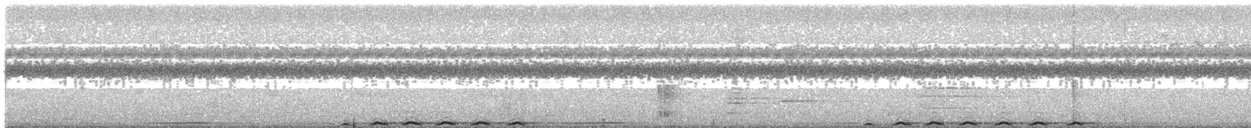 Sulawesifruchttaube - ML609058131