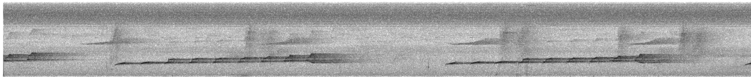 Филиппинская дронговая кукушка - ML609058137