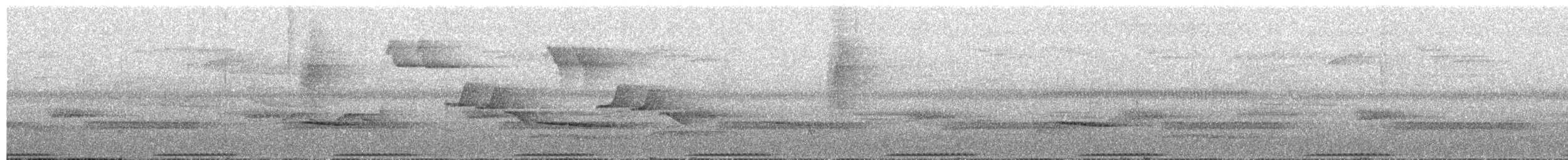 Cream-breasted Fruit-Dove - ML609058223