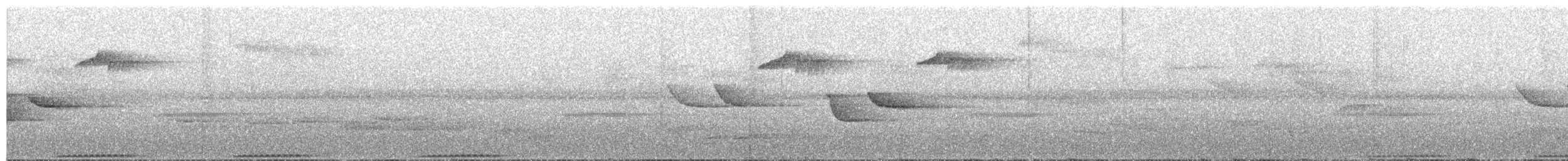 Cream-breasted Fruit-Dove - ML609058226