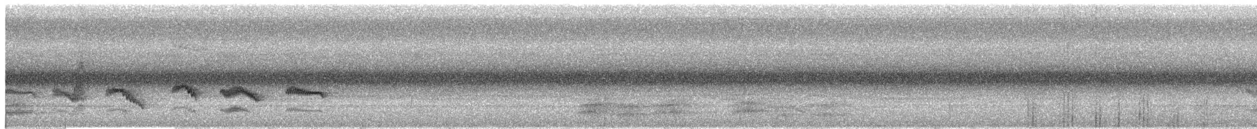 Palawan Striped-Babbler - ML609058251