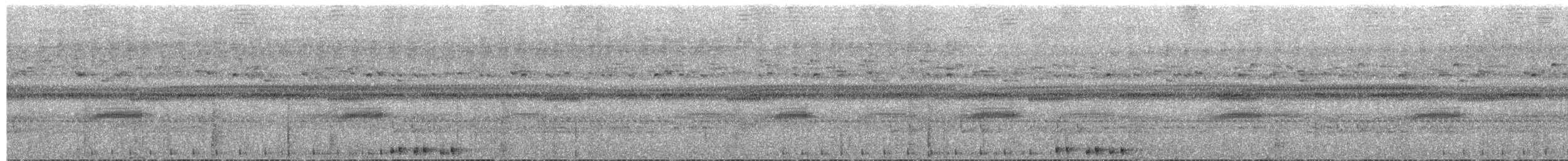 Сулуанская иглоногая сова - ML609058418