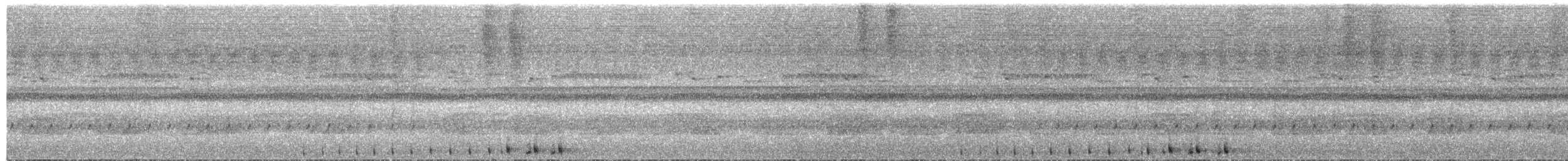 Сулуанская иглоногая сова - ML609058419