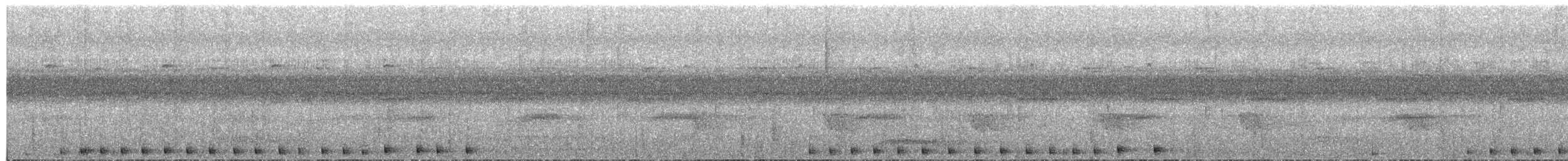 Сулуанская иглоногая сова - ML609058420