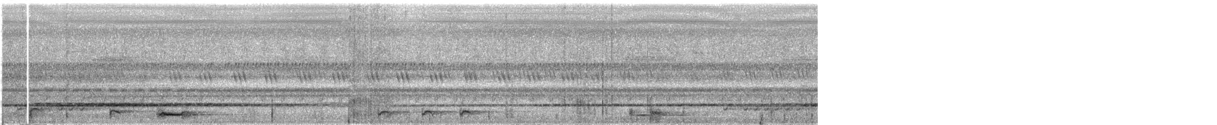 Себуанская иглоногая сова - ML609058609