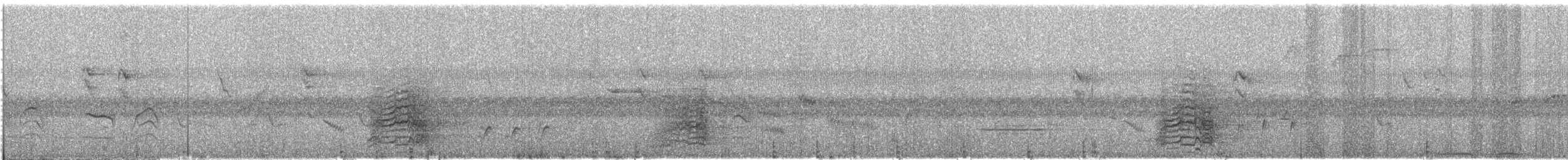 Cacatúa de Sumba - ML609058927