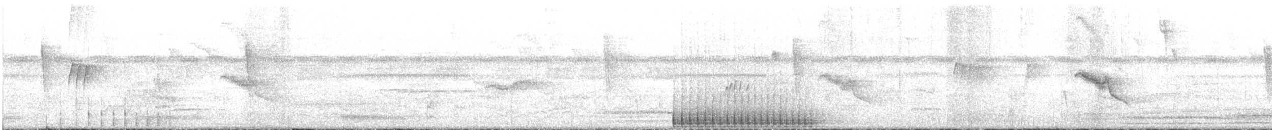 stripesvartspett (lineatus gr.) - ML609058991
