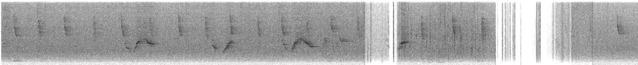 Віреон коста-риканський - ML609059120