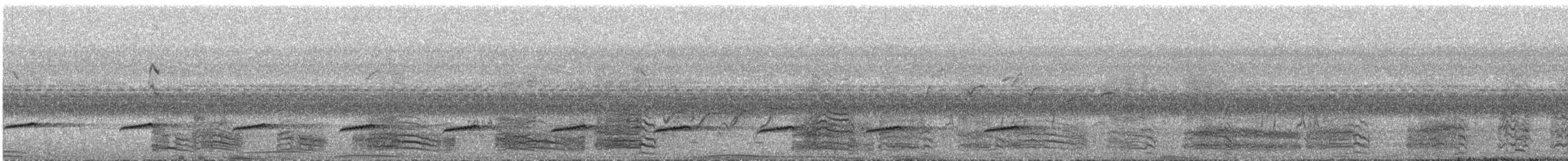 Cacatúa de Sumba - ML609059137