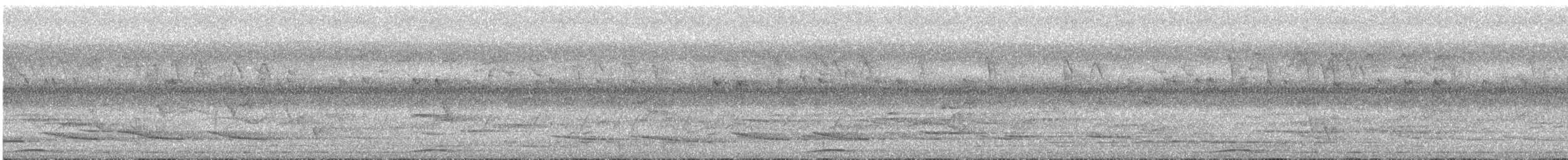長尾鳩 - ML609059246