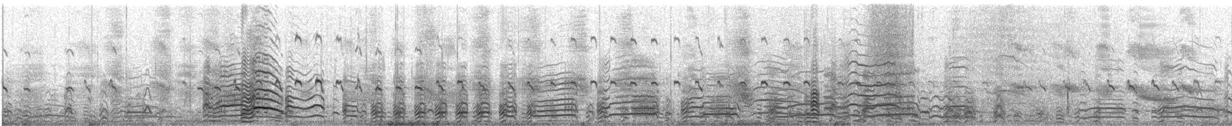 Antxeta mokogorri amerikarra - ML609059471