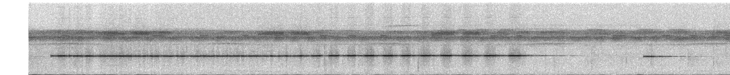 Troglodyte bambla - ML609059566