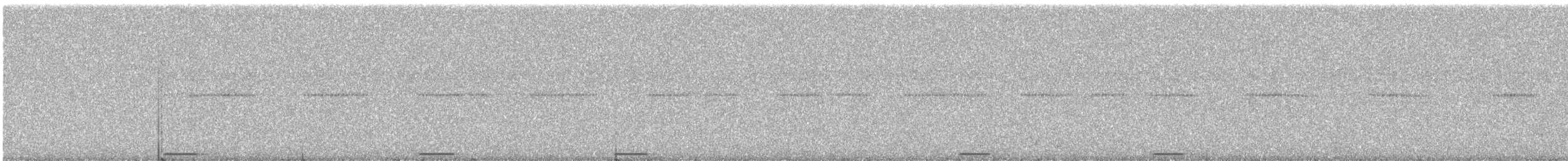 Willis's Antbird - ML609059610