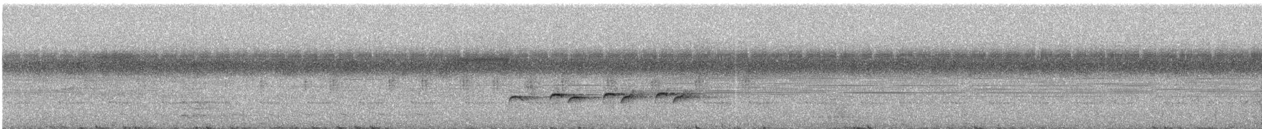 Willis's Antbird - ML609059619