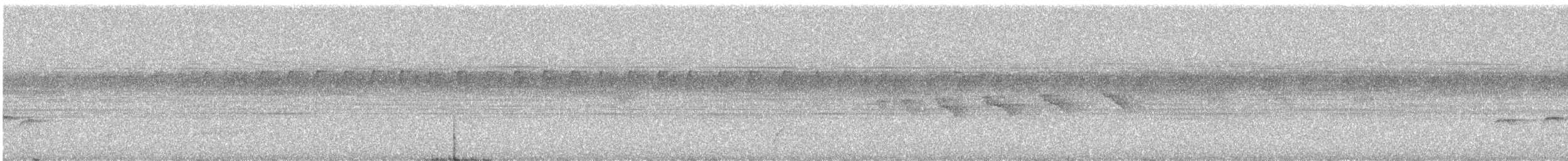 Willis's Antbird - ML609059621