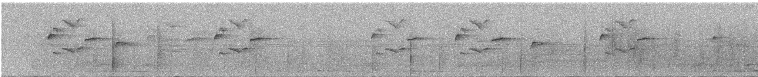 Прямоклювый колибри-отшельник - ML609059645