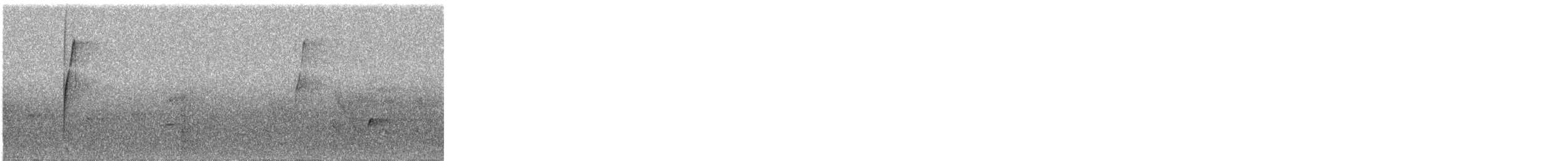 Long-tailed Hermit - ML609059692