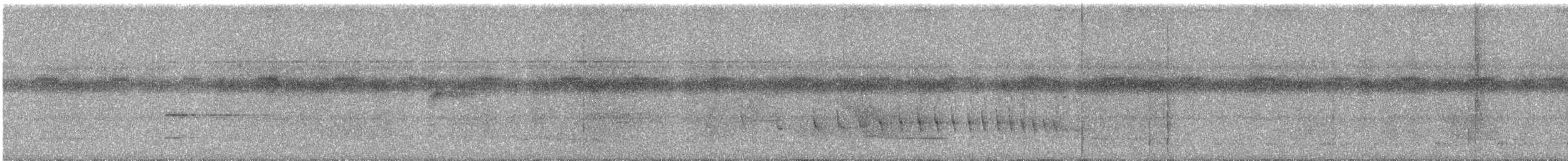 Pygmy Antwren - ML609059695