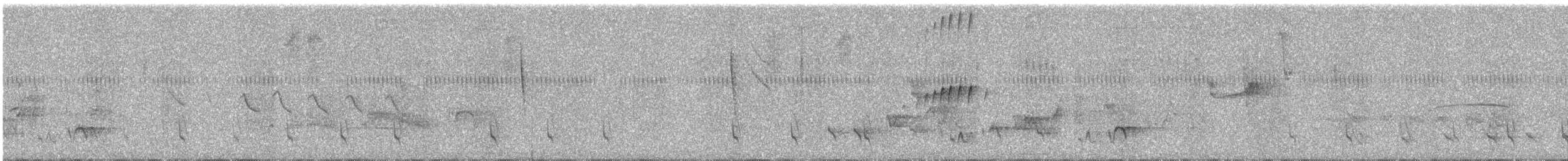 Barred Antshrike (Barred) - ML609059698