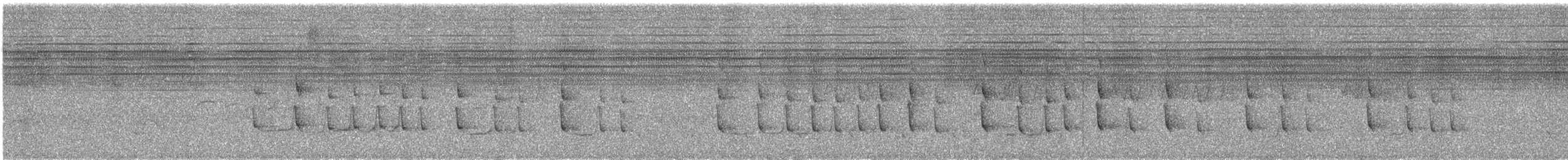 Crested Bobwhite - ML609059699