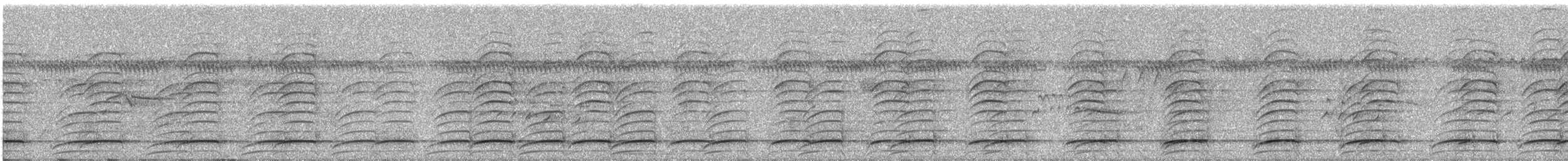 Laughing Falcon - ML609059703