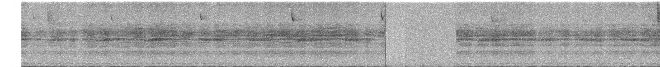 Tawny-bellied Screech-Owl - ML609059710