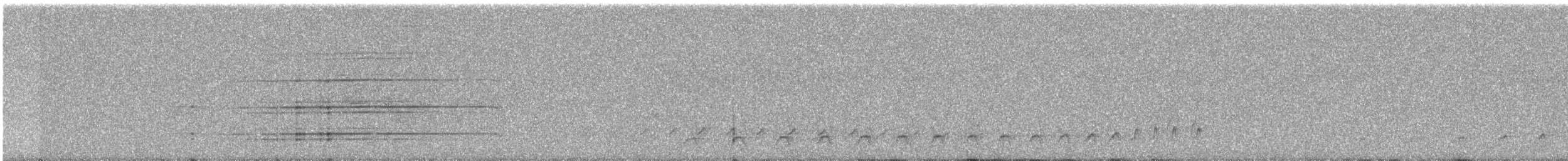 Great Black Hawk - ML609059723