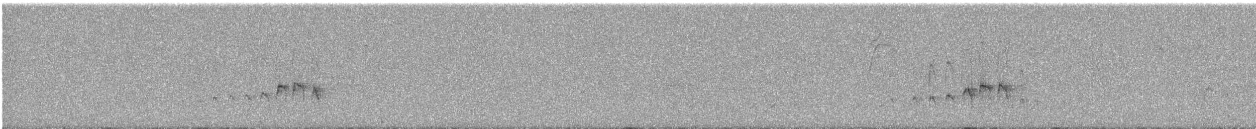 Mouse-colored Tyrannulet (Northern) - ML609059729