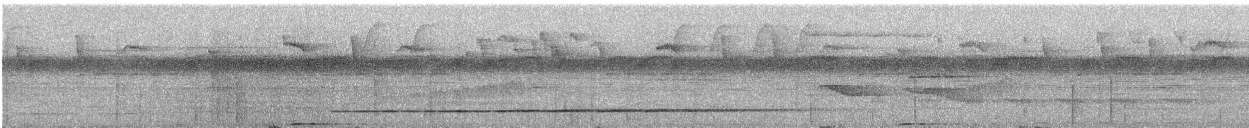 Amazonian Motmot - ML609059732