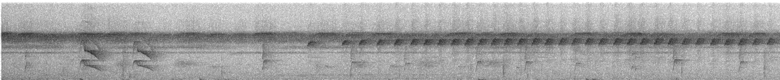 White-browed Antbird - ML609059733