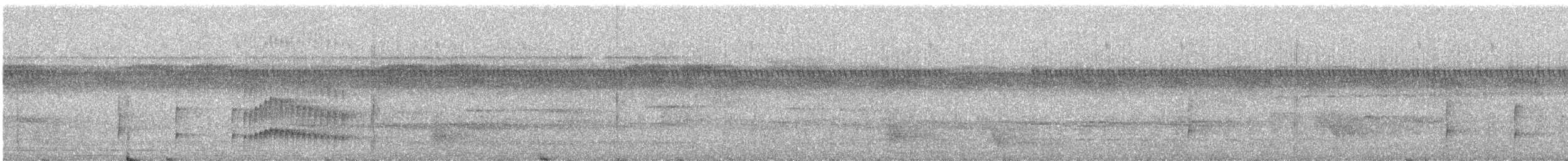 White-eyed Tody-Tyrant - ML609059736