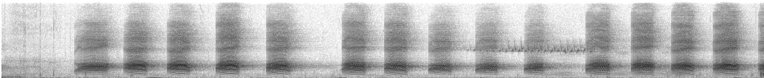 Hispaniolan Palm-Crow - ML609059768