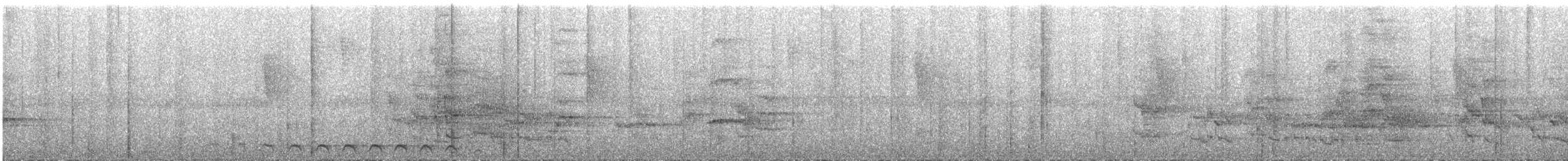 Lattice-tailed Trogon - ML609059847