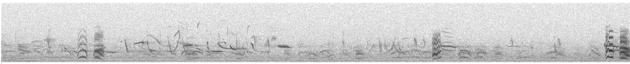 arara patagonský (ssp. andinus) - ML609060014