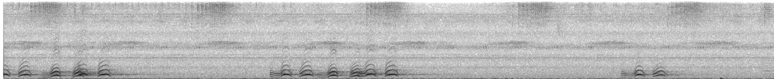 Сова-голконіг плямиста - ML609060137