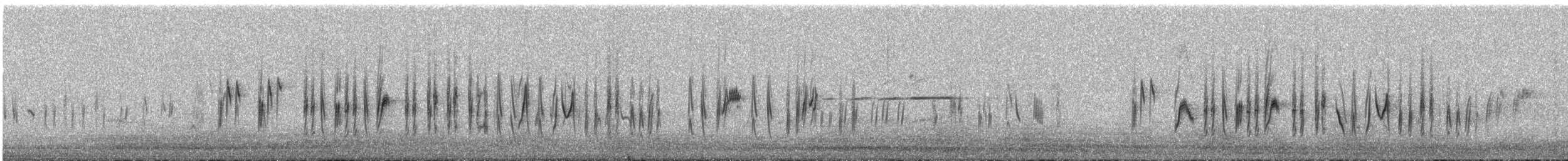 strnad šedokrký - ML609060202