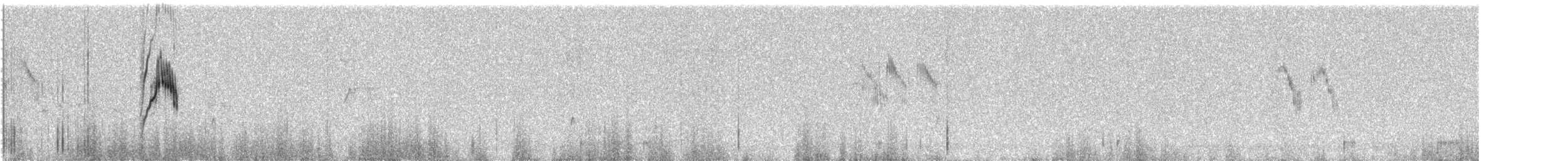 konipas luční (ssp. feldegg) - ML609060214