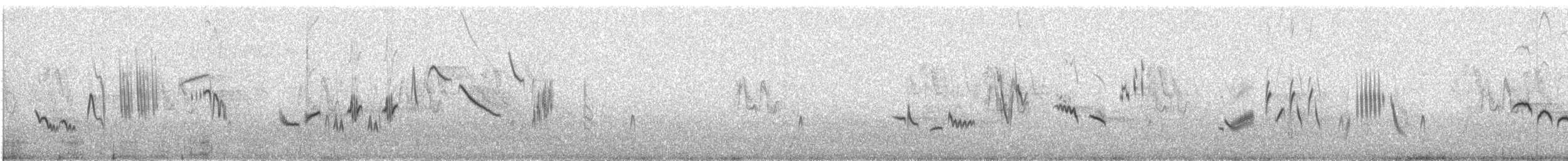 hekkskvett (galactotes gr.) - ML609060259